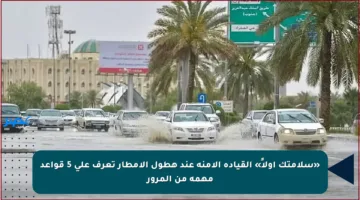 «سلامتك أولاً» القيادة الآمنة عند هطول الأمطار تعرف على 5 قواعد مهمة من المرور